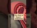 Download Lagu What happens during orgasm