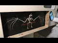 how to clean and build a bat skeleton