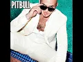 Pitbull - Hotel Room Service (Official Audio)