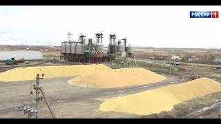 «Вести Омск», утренний эфир от 19 июля 2021 года