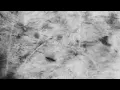Tim Allhoff - Morla (Official Music Video)