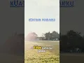 Download Lagu kuatkan pundakku #kuatkanpundakku #laguviral #laguviraltiktok #shorts #baper #bucin