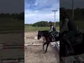 Download Lagu riding tmr! jump lesson wednesday! #horse #equestrain #horseriding #jujust ing st