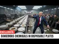 30 Disposable Plate Brands You Should Never EAT Off Of And 10 Safe To Do So