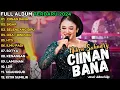 Lagu DANGDUT KOPLO TERBARU 2024| CIINAN BANA| 🎵 NIKEN SALINDRY FULL ALBUM | NIKEN SALINDRI TERBARU 2024