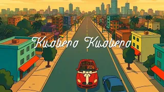 kwabena kwabena aso remix ft stonebwoy x kofi kinaata visualizer 