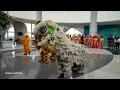 Lagu BARONGSAI DAN LIONG DANCE PERFORMANCE DI RESINDAPARKMALL