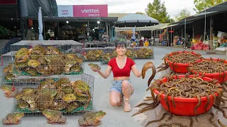 Use 3-Wheeled Truck To Buy Lots Of FROGS And EELS Goes To Sell At Countryside Market