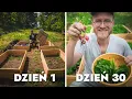 Download Lagu Własny eko WARZYWNIK dla LENIWYCH 🥬🥕