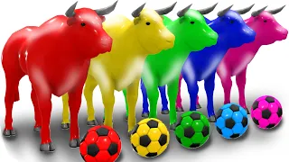 5 Giant Duck Cartoon. Paint Animals Crossing Fountain: Cow Elephant Tiger T-Rex on Long Slide Game