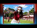 Lagu Untuk Pejuang Nafkah 👨‍💻 Kepala, Pundak, Kerja Lagi - Sal Priadi | Pop Punk Cover by Lumen Fox