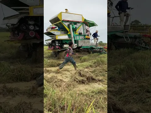 Rice harvester