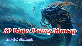 Download SP Walet Paling Mantap, SP Walet Mendunia MP3