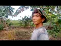 Download Lagu KABAR DARI LAHAN PAK SLAMET TRANSMIGRASI ASAL MALANG