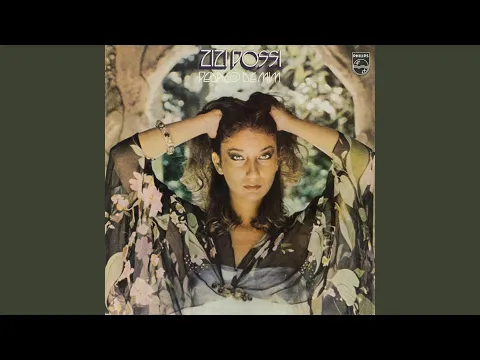 Clipe de Nunca - Zizi Possi