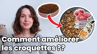 7 ingredients to improve your cat’s kibbles!