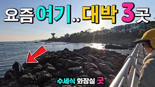 경주 양남 주상절리, 파도소리길, 하서항, 읍천항, 해외보다 멋진 차박 낚시 천국, 대박나는 항구 2곳과 60년 만에 돌아온 천연기념물, 해안 산책길, 캠핑카여행 차박노지, 썸네일