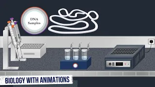 Southern Blot Method - Animated Video