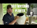 One Sedum Plant Into Many with This Method