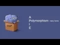 Object Oriented Polymorphism