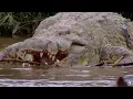 Download Lagu De dodelijkste krokodil van Burundi