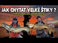 Download Lagu LOV ŠTIK V IRSKU - LOUGH DERG 🇮🇪🎣 / PIKE FISHING IN IRELAND - LOUGH DERG🇮🇪🎣