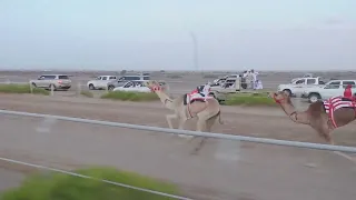 الشوط شموخ ل ياسر بن خلفان السنيدي افضل توقيت دندنها