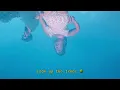 Summer Song - Poppy Fusée