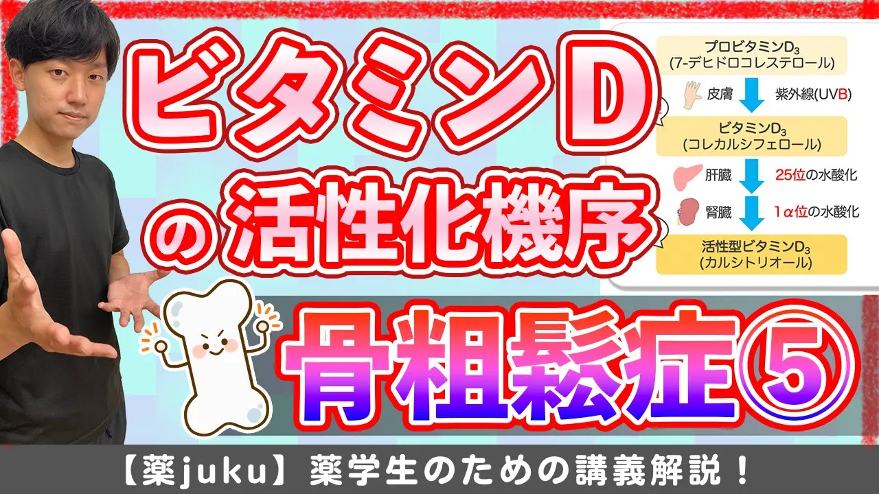 【王道ひっかけポイント解説】肝臟・腎臟で〇〇が水酸化される!