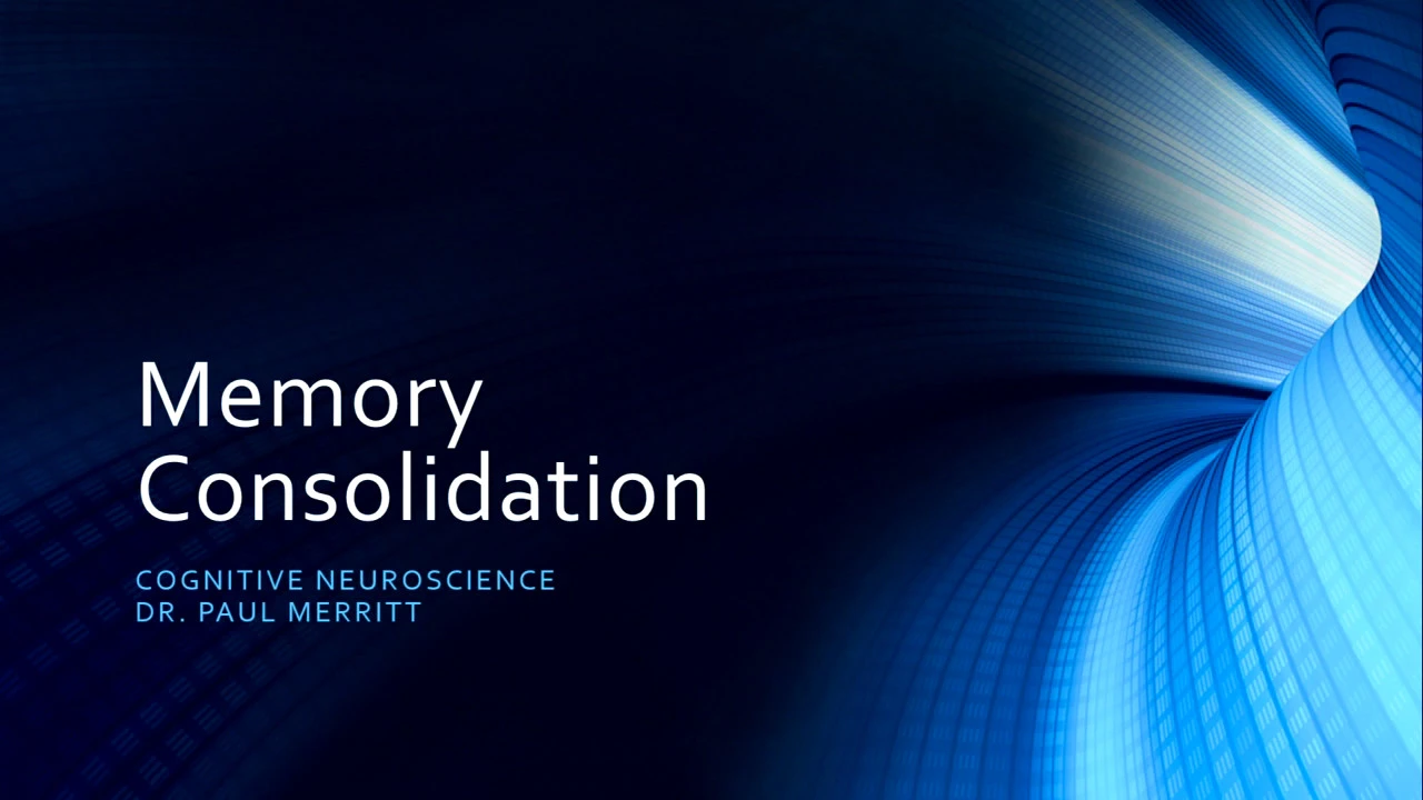 Memory Consolidation