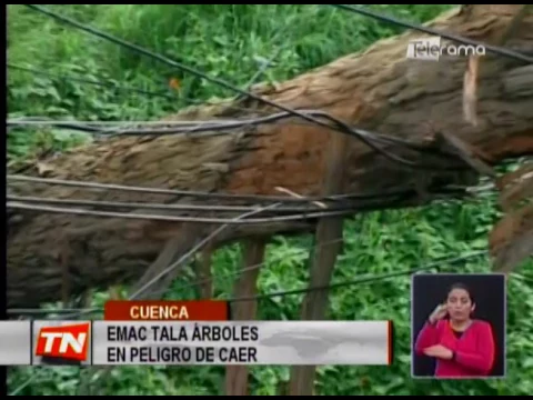Emac tala árboles en peligro de caer