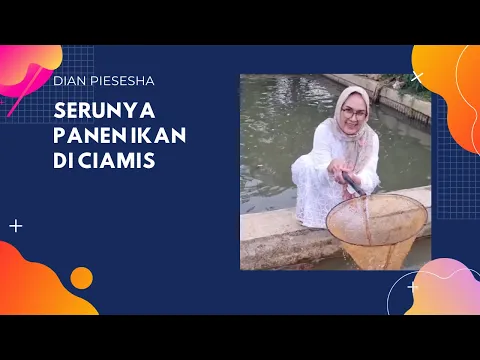 Download MP3 Serunya Panen Ikan di Ciamis | Dian Piesesha #vlogs