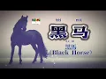 和訳 李荣浩の新曲【黑马】（黒馬）動態歌詞 #CPOP日本語訳 （拼音付き）#黑马#李荣浩