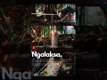 Download Lagu NGALAKSA DESA SUNIA BARU KECAMATAN BANJARAN KABUPATEN MAJALENGKA