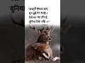 Download Lagu man me mandir bna##