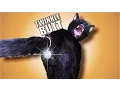 Talking Kitty Cat 42 - Twinkle Butt