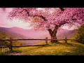 Cherry Blossom Hill 🌸 Relaxing Piano Music for Peaceful Spring Mornings & Deep Focus