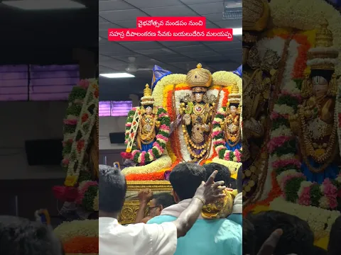 malayappa swamy..🚩 #tirumala #balaji #perumal #vishnu #temple #hindu #spirituality #hindutemple #om