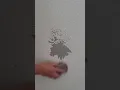 Kelly Moore adhesion issues