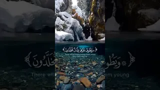 عينا فيها تسمى سلسبيلا تلاوة رائعة من القارئ محمد اللحيدان قران كريم Quran قرآن تلاوة خاشعة 