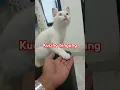 oneng why..?