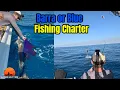Is this Australia s Best Fishing Charter Barra or Blue What to Expect on a Fishing Charter