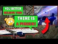 Download Lagu Pigeons Flying Around Inside a Plane | Delta Forced to Return to Gate