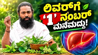 ಲಿವರ್ ಶಕ್ತಿ ಹೆಚ್ಚಿಸಲು ಈ 1 ಎಲೆ ಸಾಕು! How to Protect Liver | Nela Nelli Benefits for Liver in Kannada