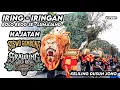Lagu IRING - IRINGAN 50 DADAK MERAK BOLO REOG LUMAJANG HAJATAN SISWO GEMBONG KELILING DUSUN JOHO 2025