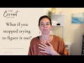 Soften Your Nervous System Discover the Understanding You Can t Think Your Way To The Current