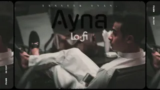 aynaa lofi version tanveer evan 