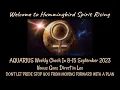 AQUARIUS Weekly Check In 8-15 Sep 2023 - DON T LET PRIDE STOP YOU FROM MOVING FORWARD WITH A PLAN