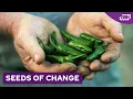 Download Lagu SEEDS OF CHANGE (full documentary)