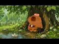 a quiet place to watch the rain fall cozy rain lofi with nature sounds